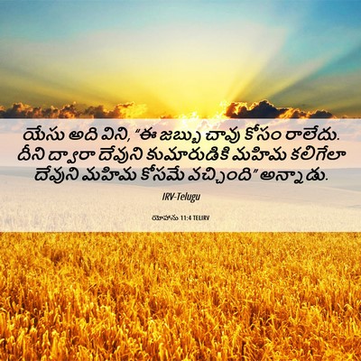 Picture 06 - యోహాను 11:4 TELIRV - యేసు అది విని, “ఈ - Bible Verse Picture