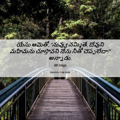 Picture 06 - యోహాను 11:40 TELIRV - యేసు ఆమెతో, - Bible Verse Picture