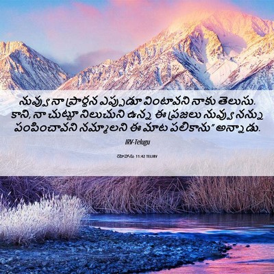 Picture 06 - యోహాను 11:42 TELIRV - నువ్వు నా - Bible Verse Picture