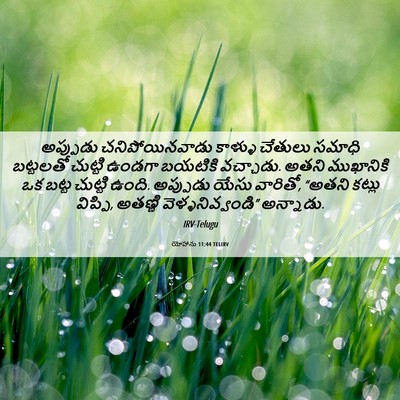 Picture 06 - యోహాను 11:44 TELIRV - అప్పుడు - Bible Verse Picture