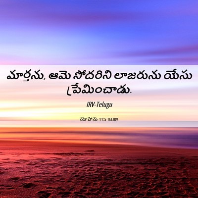 Picture 06 - యోహాను 11:5 TELIRV - మార్తను, ఆమె - Bible Verse Picture