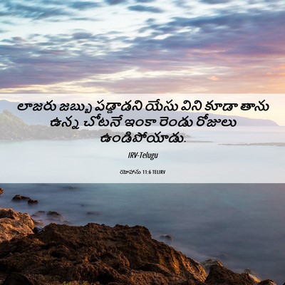 Picture 06 - యోహాను 11:6 TELIRV - లాజరు జబ్బు - Bible Verse Picture