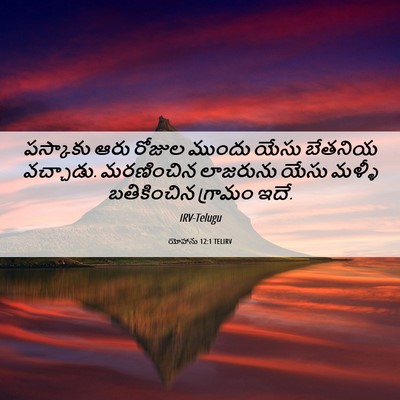 Picture 06 - యోహాను 12:1 TELIRV - పస్కాకు ఆరు రోజుల - Bible Verse Picture