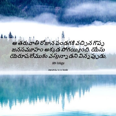 Picture 06 - యోహాను 12:12 TELIRV - ఆ తరువాతి రోజున - Bible Verse Picture