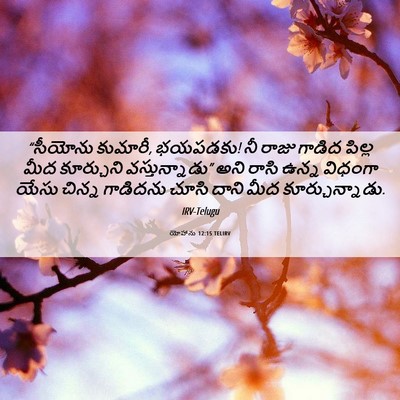 Picture 06 - యోహాను 12:15 TELIRV - “సీయోను కుమారీ, - Bible Verse Picture
