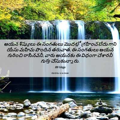 Picture 06 - యోహాను 12:16 TELIRV - ఆయన శిష్యులు ఈ - Bible Verse Picture