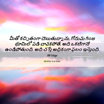 Picture 06 - యోహాను 12:24 TELIRV - మీతో కచ్చితంగా - Bible Verse Picture