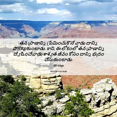 Picture 06 - యోహాను 12:25 TELIRV - తన ప్రాణాన్ని - Bible Verse Picture