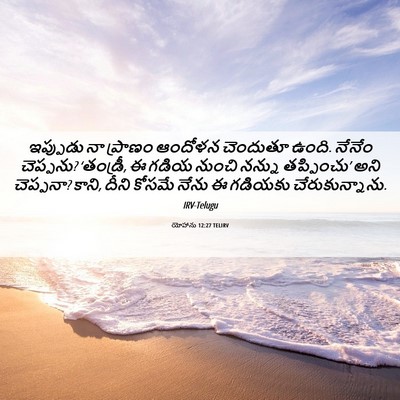 Picture 06 - యోహాను 12:27 TELIRV - ఇప్పుడు నా ప్రాణం - Bible Verse Picture