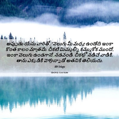 Picture 06 - యోహాను 12:35 TELIRV - అప్పుడు యేసు - Bible Verse Picture