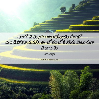 Picture 06 - యోహాను 12:46 TELIRV - నాలో నమ్మకం - Bible Verse Picture