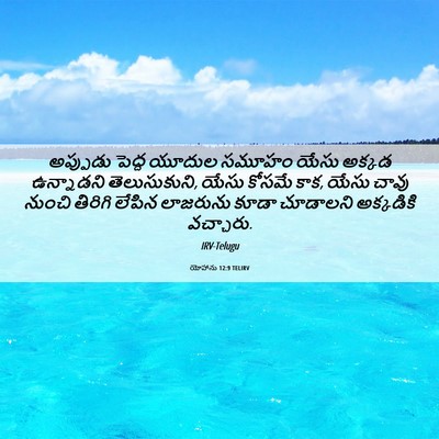 Picture 06 - యోహాను 12:9 TELIRV - అప్పుడు పెద్ద - Bible Verse Picture
