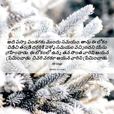 Picture 06 - యోహాను 13:1 TELIRV - అది పస్కా పండగకు - Bible Verse Picture