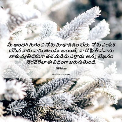 Picture 06 - యోహాను 13:18 TELIRV - మీ అందరి గురించి - Bible Verse Picture