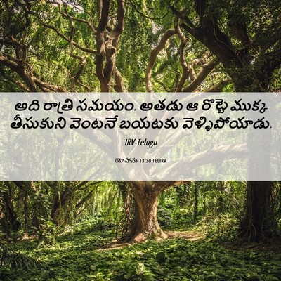 Picture 06 - యోహాను 13:30 TELIRV - అది రాత్రి సమయం. - Bible Verse Picture