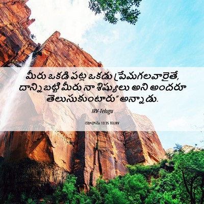 Picture 06 - యోహాను 13:35 TELIRV - మీరు ఒకడి పట్ల - Bible Verse Picture