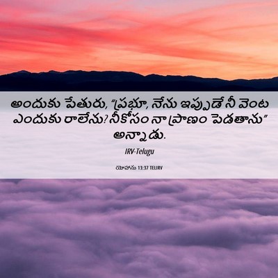 Picture 06 - యోహాను 13:37 TELIRV - అందుకు పేతురు, - Bible Verse Picture