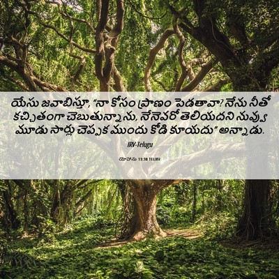 Picture 06 - యోహాను 13:38 TELIRV - యేసు జవాబిస్తూ, - Bible Verse Picture