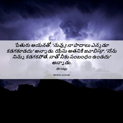 Picture 06 - యోహాను 13:8 TELIRV - పేతురు ఆయనతో, - Bible Verse Picture