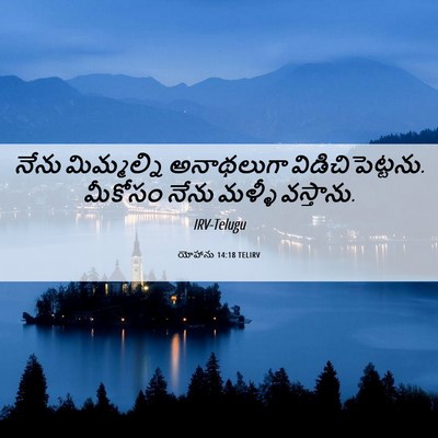 Picture 06 - యోహాను 14:18 TELIRV - నేను మిమ్మల్ని - Bible Verse Picture