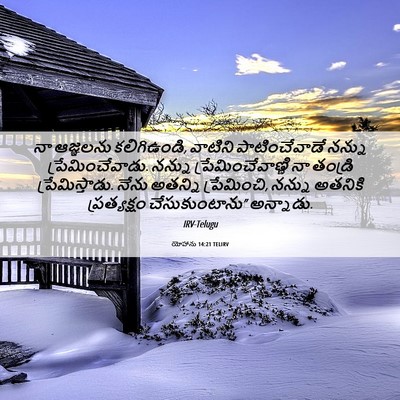 Picture 06 - యోహాను 14:21 TELIRV - నా ఆజ్ఞలను - Bible Verse Picture
