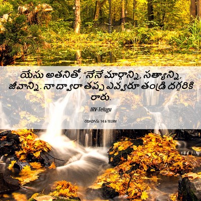 Picture 06 - యోహాను 14:6 TELIRV - యేసు అతనితో, “నేనే - Bible Verse Picture
