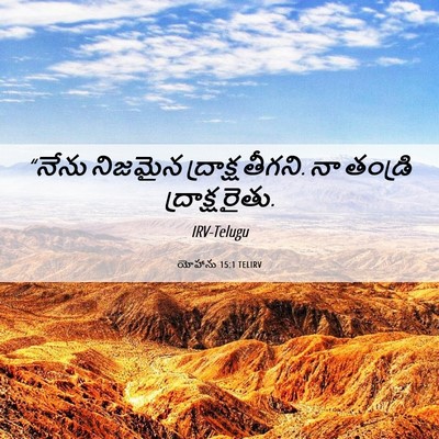 Picture 06 - యోహాను 15:1 TELIRV - “నేను నిజమైన - Bible Verse Picture