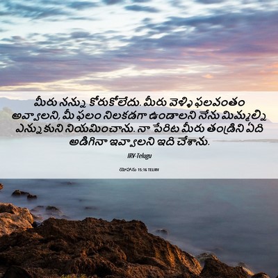 Picture 06 - యోహాను 15:16 TELIRV - మీరు నన్ను - Bible Verse Picture