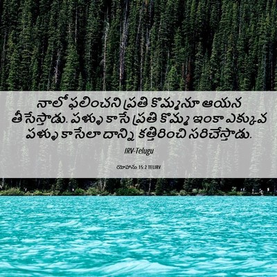 Picture 06 - యోహాను 15:2 TELIRV - నాలో ఫలించని - Bible Verse Picture