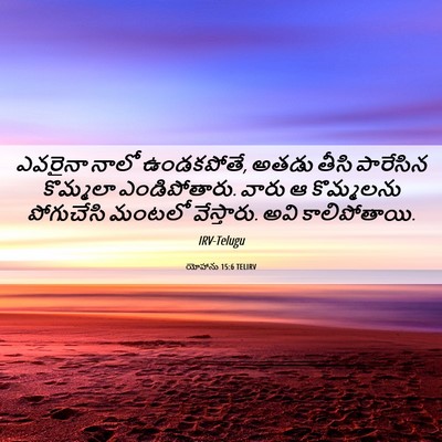 Picture 06 - యోహాను 15:6 TELIRV - ఎవరైనా నాలో - Bible Verse Picture
