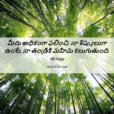 Picture 06 - యోహాను 15:8 TELIRV - మీరు అధికంగా - Bible Verse Picture