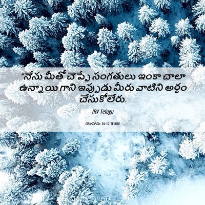 Picture 06 - యోహాను 16:12 TELIRV - “నేను మీతో చెప్పే - Bible Verse Picture