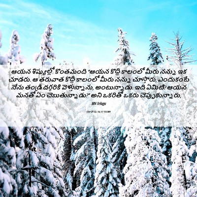 Picture 06 - యోహాను 16:17 TELIRV - ఆయన శిష్యుల్లో - Bible Verse Picture