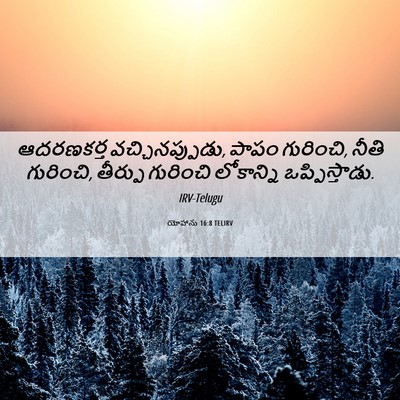 Picture 06 - యోహాను 16:8 TELIRV - ఆదరణకర్త - Bible Verse Picture