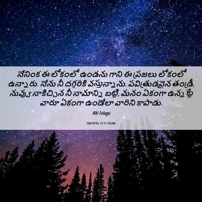 Picture 06 - యోహాను 17:11 TELIRV - నేనింక ఈ లోకంలో - Bible Verse Picture