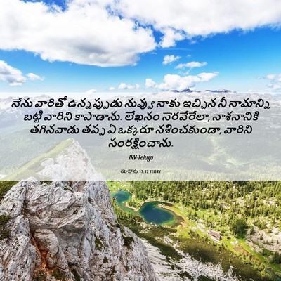 Picture 06 - యోహాను 17:12 TELIRV - నేను వారితో - Bible Verse Picture
