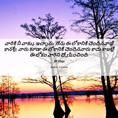 Picture 06 - యోహాను 17:14 TELIRV - వారికి నీ వాక్కు - Bible Verse Picture