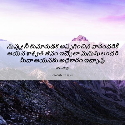 Picture 06 - యోహాను 17:2 TELIRV - నువ్వు నీ - Bible Verse Picture