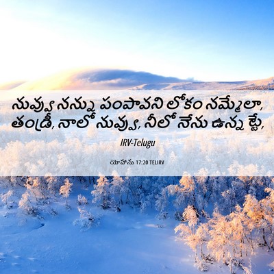 Picture 06 - యోహాను 17:20 TELIRV - నువ్వు నన్ను - Bible Verse Picture