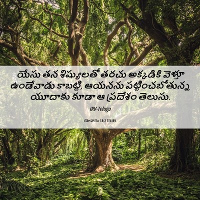 Picture 06 - యోహాను 18:2 TELIRV - యేసు తన శిష్యులతో - Bible Verse Picture