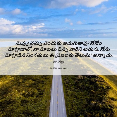 Picture 06 - యోహాను 18:21 TELIRV - నువ్వు నన్ను - Bible Verse Picture