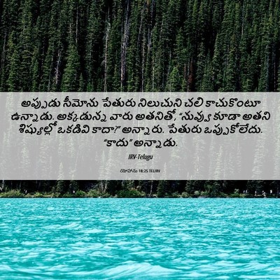 Picture 06 - యోహాను 18:25 TELIRV - అప్పుడు సీమోను - Bible Verse Picture