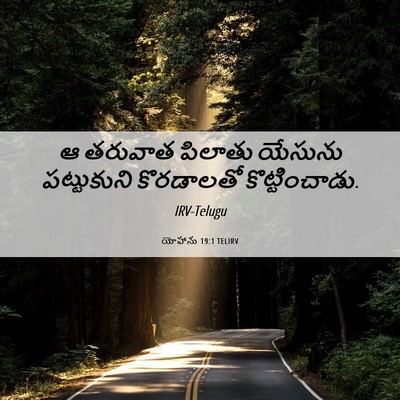 Picture 06 - యోహాను 19:1 TELIRV - ఆ తరువాత పిలాతు - Bible Verse Picture
