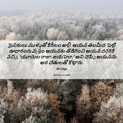 Picture 06 - యోహాను 19:2 TELIRV - సైనికులు ముళ్ళతో - Bible Verse Picture