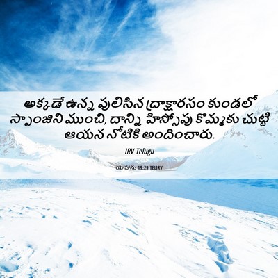 Picture 06 - యోహాను 19:29 TELIRV - అక్కడే ఉన్న - Bible Verse Picture