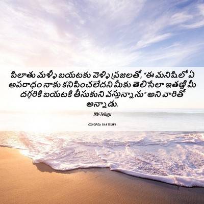 Picture 06 - యోహాను 19:4 TELIRV - పిలాతు మళ్ళీ - Bible Verse Picture