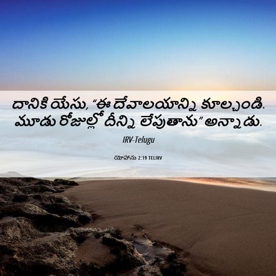 Picture 06 - యోహాను 2:19 TELIRV - దానికి యేసు, “ఈ - Bible Verse Picture