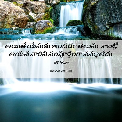 Picture 06 - యోహాను 2:24 TELIRV - అయితే యేసుకు - Bible Verse Picture