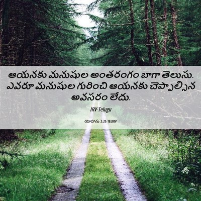 Picture 06 - యోహాను 2:25 TELIRV - ఆయనకు మనుషుల - Bible Verse Picture