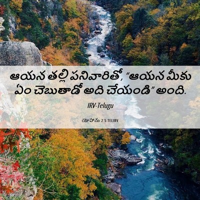 Picture 06 - యోహాను 2:5 TELIRV - ఆయన తల్లి - Bible Verse Picture